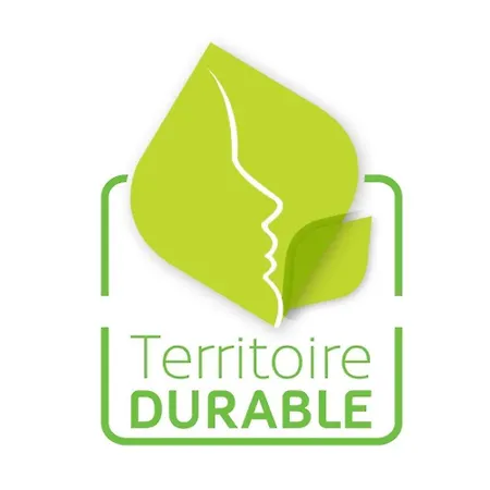 Chateau De Larunque, 15 P, Piscine Tennis - Plages 30 Mn